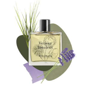 vetiver insolent perfume